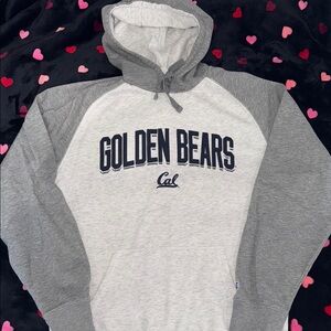 Gray Cal Golden Bears Hoodie